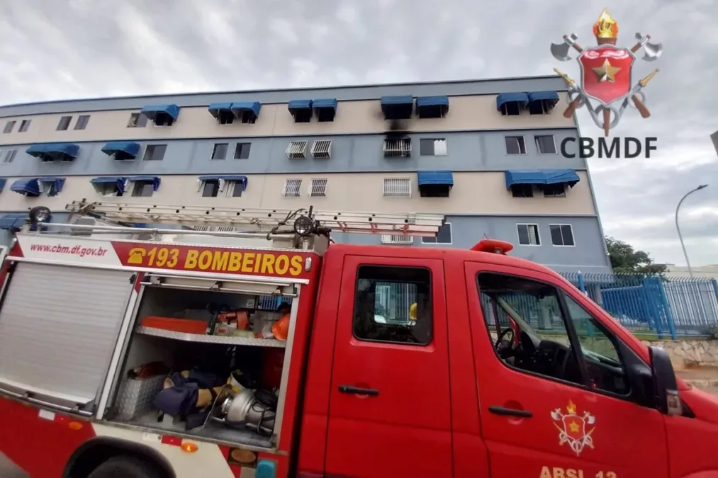 Três gatos morrem em incêndio em apartamento no DF: tutora dos animais não estava presente