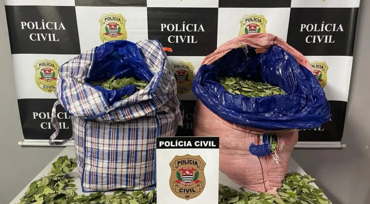 Homem é preso com 25 quilos de folha de coca dentro de ônibus no centro de São Paulo