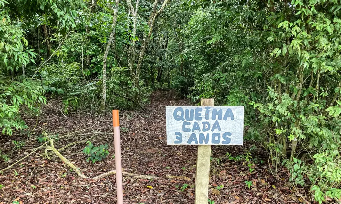 Laboratório a céu aberto facilita pesquisas sobre queimadas