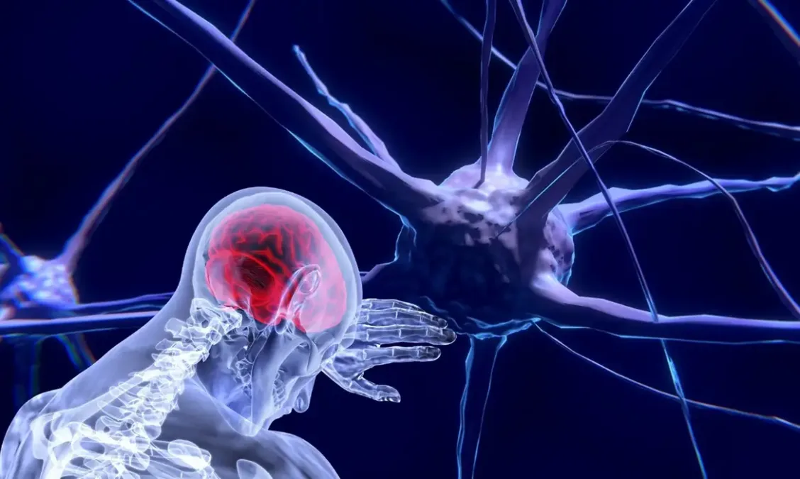 Neurocientista afirma que avanços em neurotecnologia permitirão alterações no funcionamento mental e defende direito à privacidade
