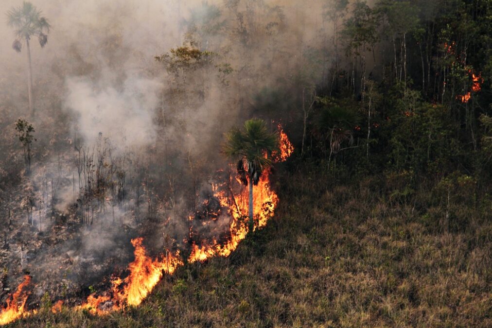 Calendário de emergência ambiental revela: Acre enfrentará oito meses críticos de queimadas, alerta governo