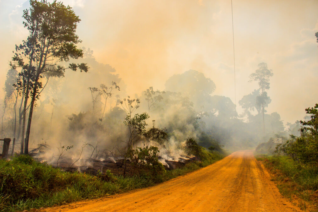 Acre não registra queimadas em abril, acumulando 22 focos de calor em 2024