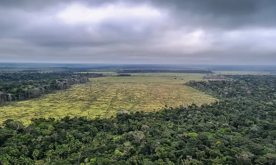 Programa de combate ao desmatamento na Amazônia prorroga prazo de adesão até 31 de maio