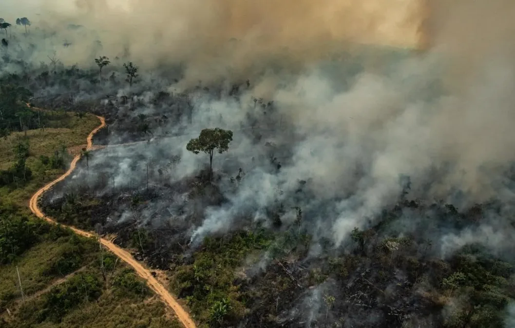 Acre enfrenta aumento de 177% nos focos de queimadas no primeiro quadrimestre de 2024