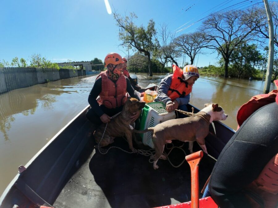 Equipe de bombeiros do Acre resgata 20 pessoas e 3 animais nas enchentes do Rio Grande do Sul