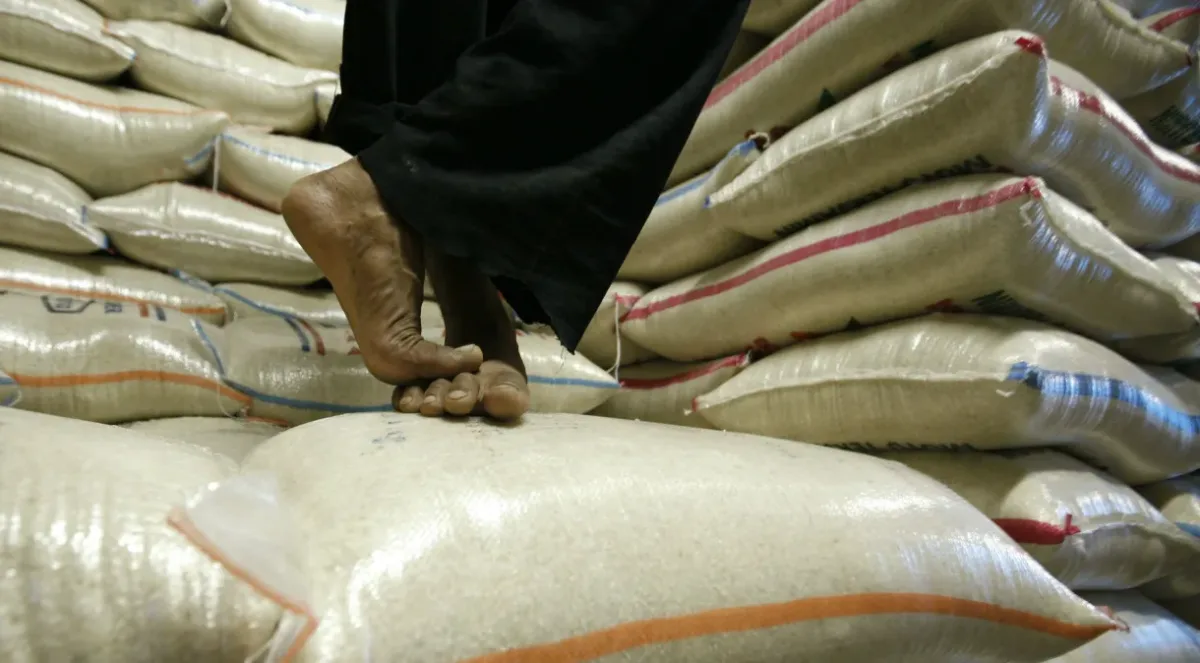 Leilão de 300 mil toneladas de arroz importado para estabilizar preços será dia 6 de junho