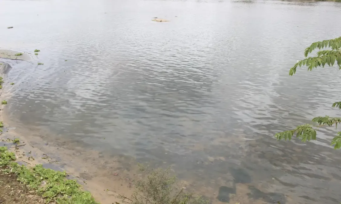 UFRJ desenvolve sensor inovador para detecção rápida de água contaminada
