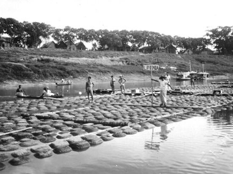 Acre completa 62 anos de emancipação: a jornada rumo à autonomia estadual