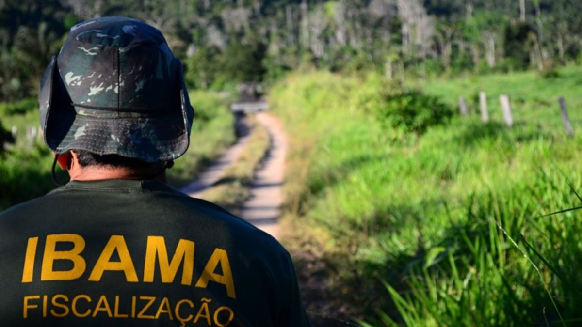 Servidores do Ibama e ICMBio no Acre aderem à greve nacional