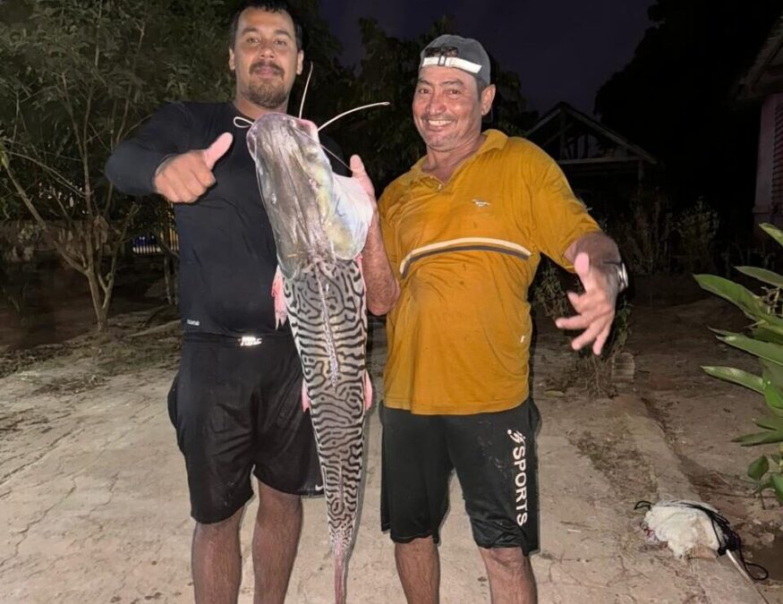 Moradores de Sena Madureira pescam peixe de 15,6 kg no Rio Caeté
