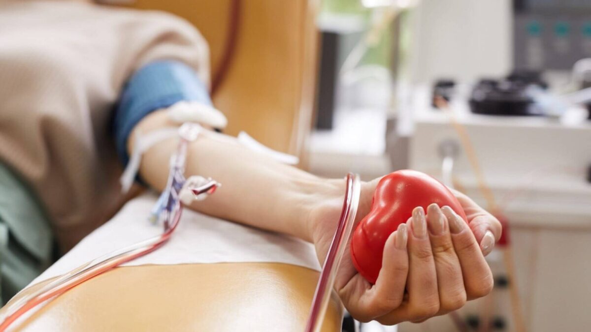Dia Mundial do Doador de Sangue: importância da doação regular e seus benefícios