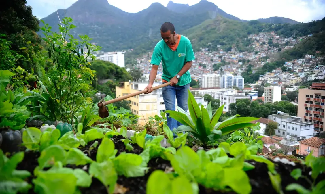 Nova lei visa impulsionar a produção de alimentos nas cidades