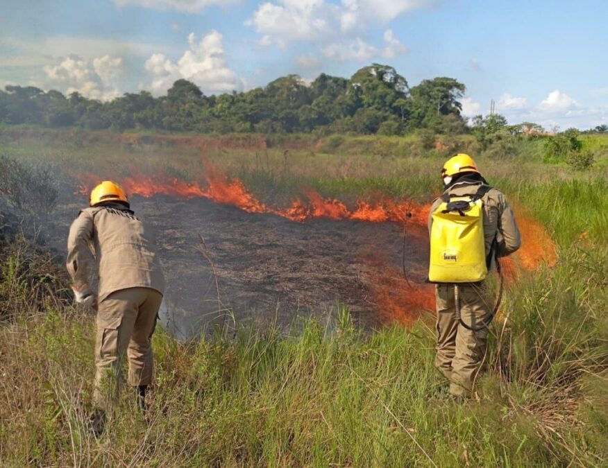 Operação Protetor dos Biomas: Acre intensifica combate às queimadas com reforço de bombeiros
