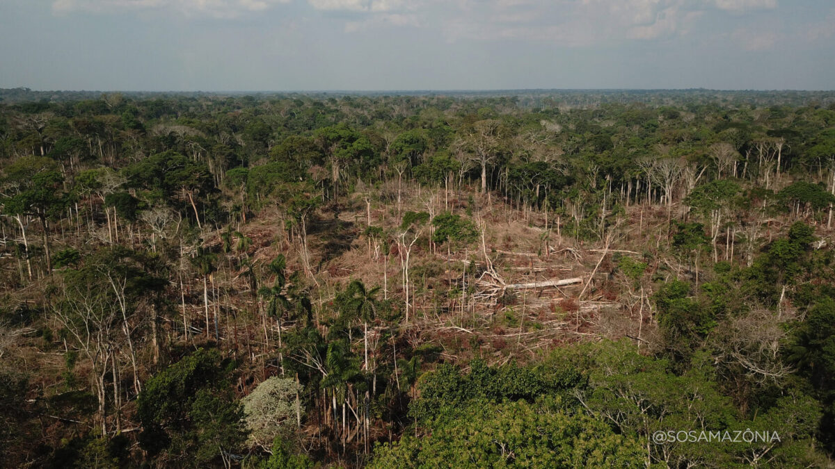 Novos geoglifos descobertos na Reserva Extrativista Chico Mendes