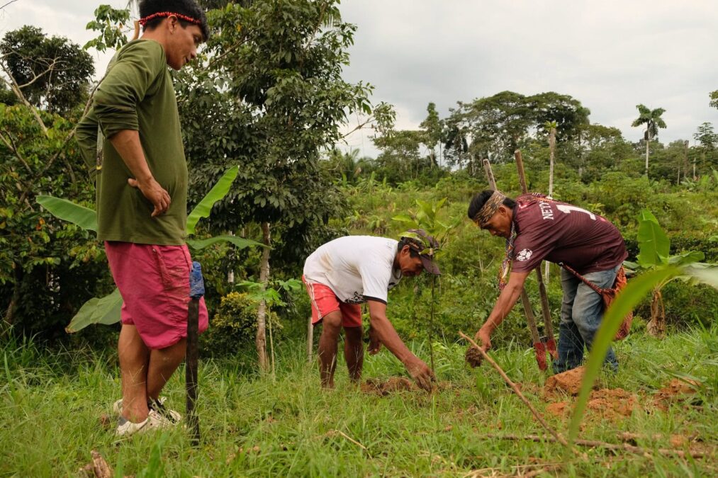 Justiça determina prazo de 2 anos para demarcação da terra Indígena Henê Baria Namakia e concede indenização de R$ 1 milhão