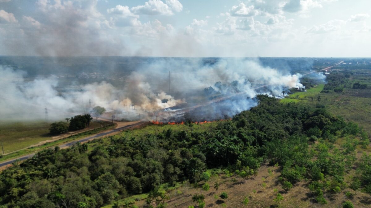 Brasil vê aumento alarmante de 61% nos focos de queimadas nos primeiros sete meses de 2024**