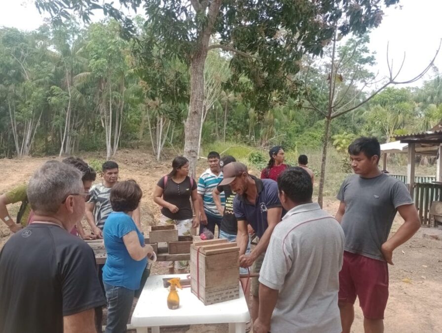 Acre capacita produtores e indígenas em meliponicultura em Assis Brasil