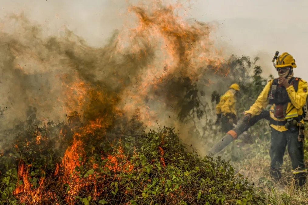 Amazonas registra mais de 10 mil focos de incêndio em dois meses