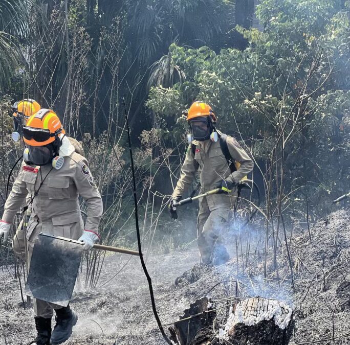 Ibama autoriza contratação de brigadistas federais para combater queimadas em três municípios do Acre