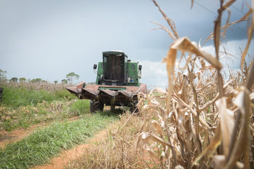 Valor da Produção Agrícola no Acre cresce 9,3% e ultrapassa R$ 700 milhões em 2023