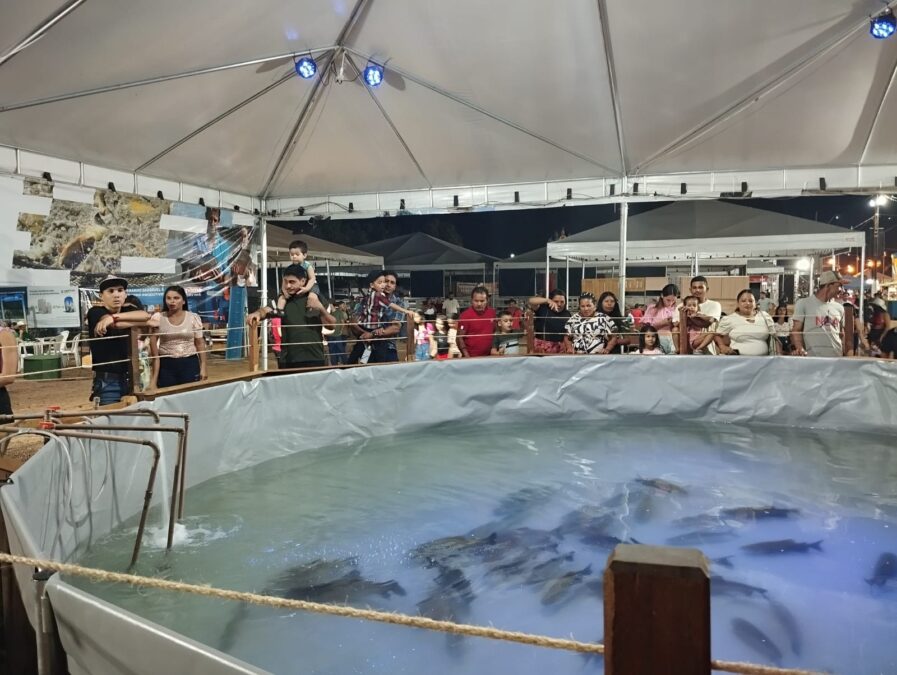 SEBRAE Impulsiona Piscicultura em Sena Madureira com Inovação na ExpoSena 2024