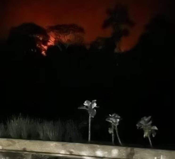 Incêndio consome 10 hectares do Parque Nacional da Serra do Divisor no Acre