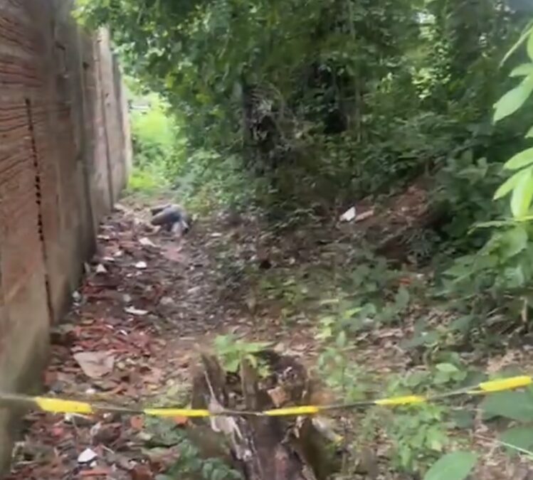 Corpo em decomposição é encontrado no bairro Alto Alegre, em Rio Branco