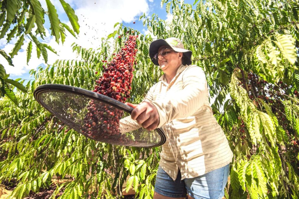 Governo garante liberação de recursos para apoio a pequenos produtores de agricultura familiar do estado