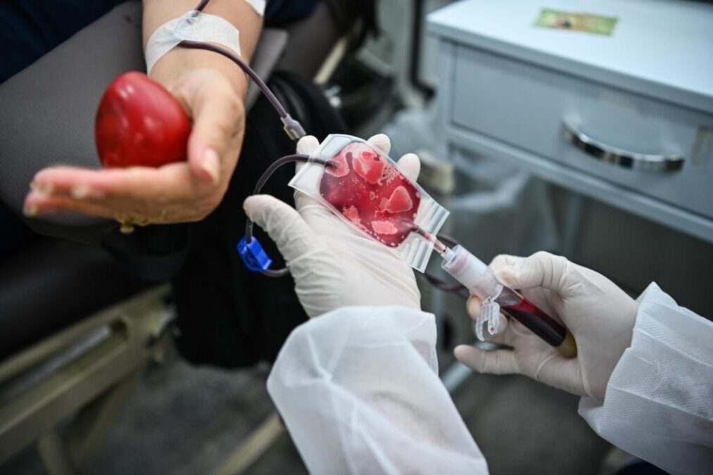 Dia Nacional do Doador de Sangue: um ato de solidariedade que salva vidas