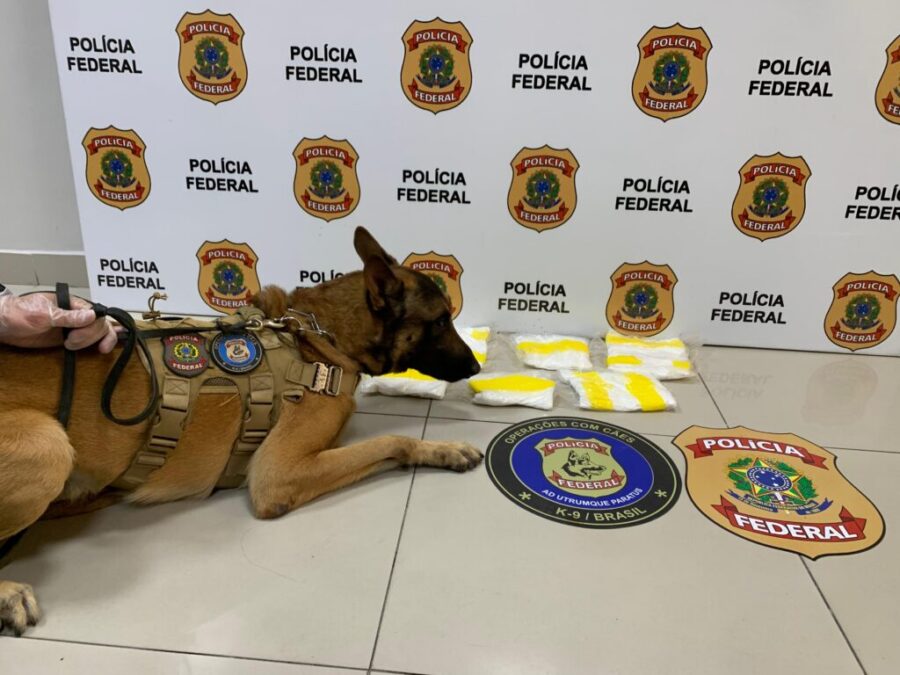 Mulher é presa em Fortaleza com cocaína após operação conjunta entre Polícia Civil do Acre e Polícia Federal