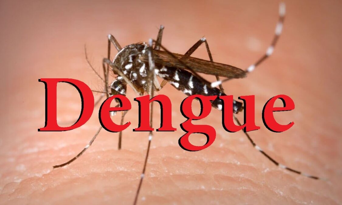 Acre: Entenda porque os casos de dengue aumentam no verão
