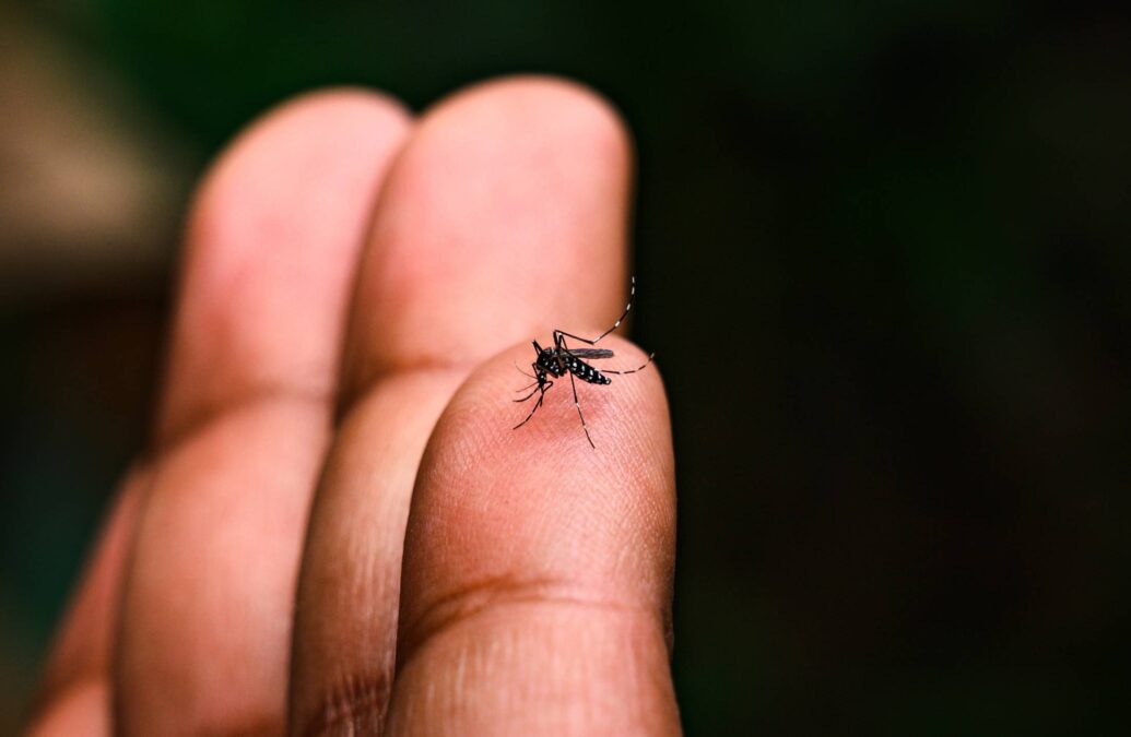 Acre registra mais de 3,6 mil casos de dengue em 2024, mas sem mortes confirmadas