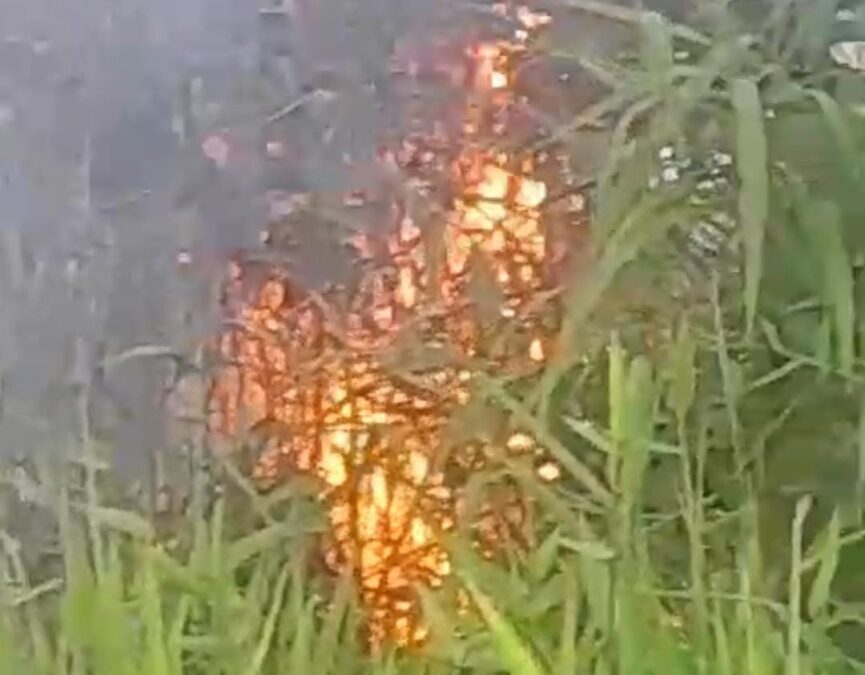 Fogo nas proximidades da Florestcon expõe possíveis falhas no atendimento de emergências em Sena Madureira