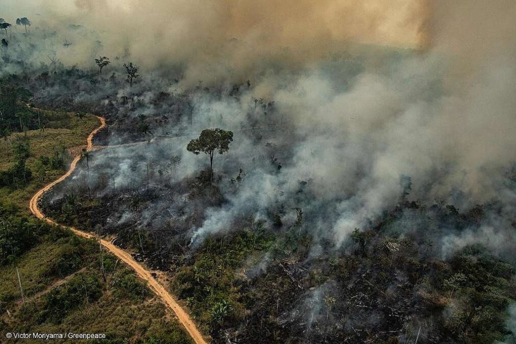Acre registra maior número de queimadas de janeiro da história com 34 focos