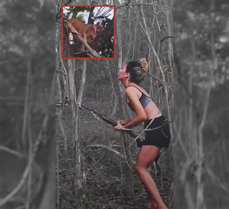 Mulher que matou onça-parda em vídeo viral é identificada e multada pelo ibama