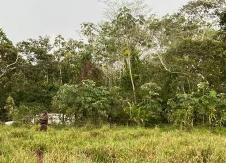 Trabalhador rural morre em acidente com árvore em Porto Acre
