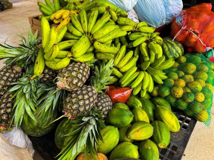 Governo do Acre recebe R$ 2,9 milhões para aquisição de veículos voltados à distribuição de alimentos em aldeias indígenas