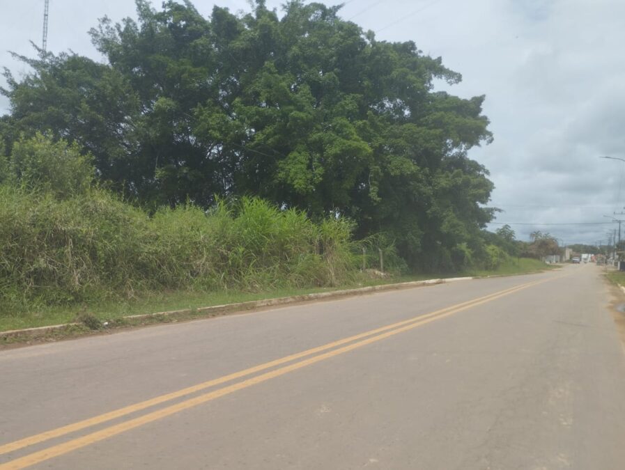 Moradores da rua Augusto Vasconcelos reivindicam limpeza de área da antena da Rede Amazônica em Sena Madureira