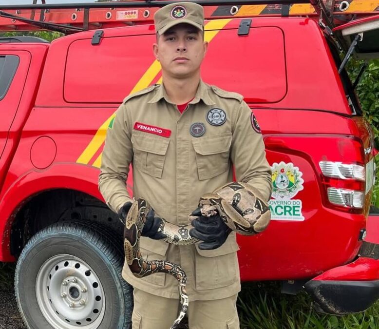 Bombeiros resgatam jiboia de 1,5 metro dentro de residência em Sena Madureira