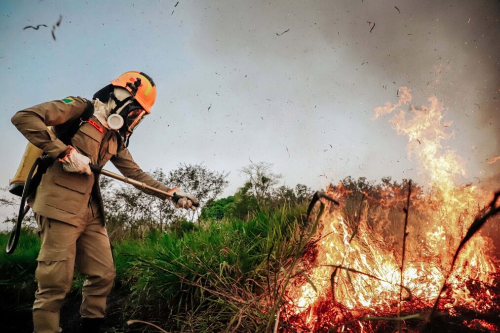 Governo se antecipa ao combate de incêndios e lança edital para seleção de brigadistas comunitários