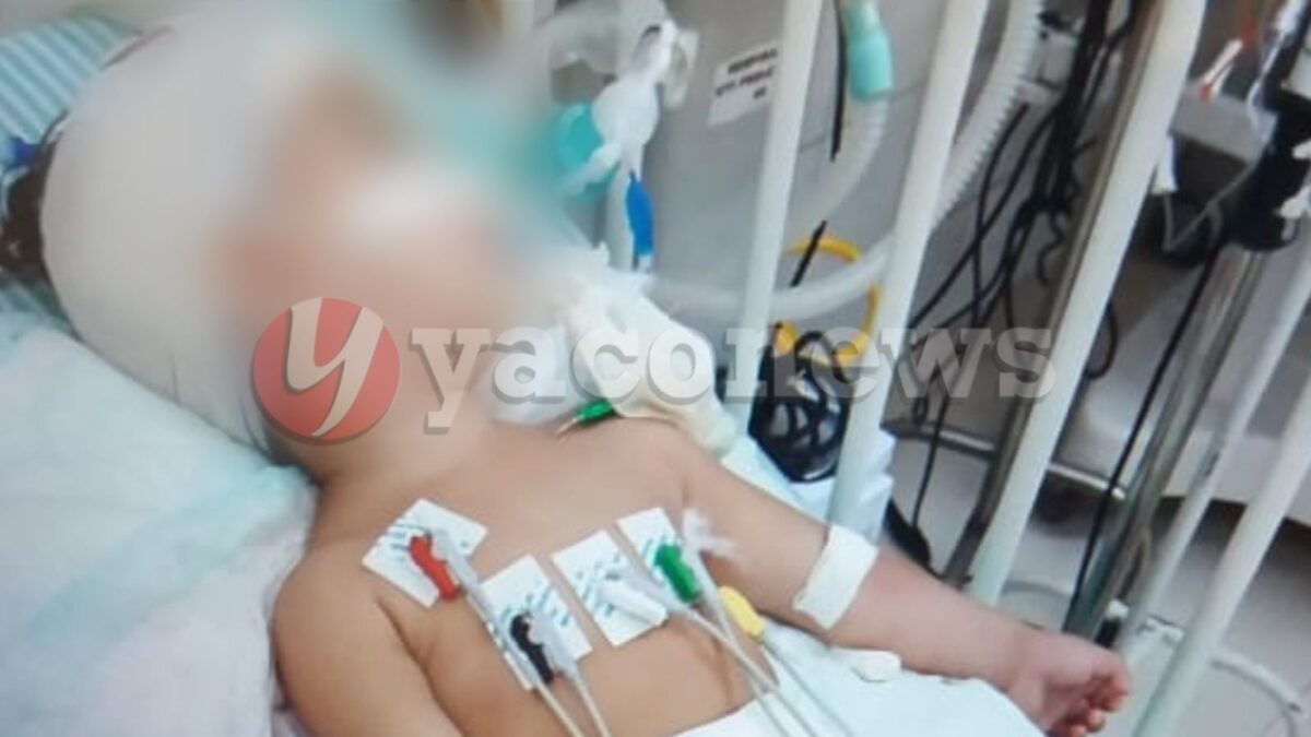 Criança baleada na cabeça por criminosos continua em observação na UTI do Hospital da Criança