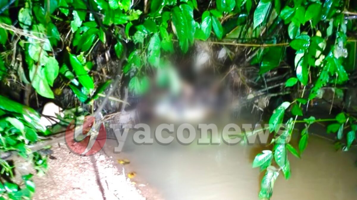 Colono é brutalmente assassinado à pauladas e corpo jogado dentro de córrego na zona rural de Rio Branco