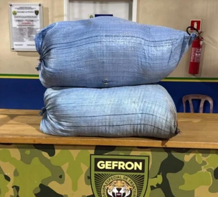 Polícia apreende 24 kg de folha de coca em operação na rodovia AC-40