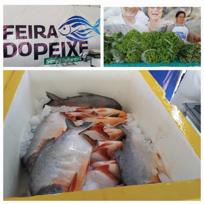 Feira do Peixe é retomada em Sena Madureira com foco na tradição e apoio à produção local
