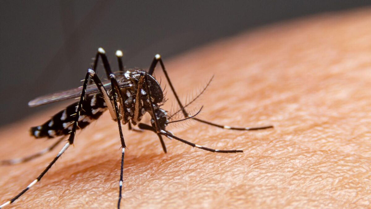 Acre confirma mais de 3,8 mil casos de dengue e três mortes no primeiro trimestre de 2025