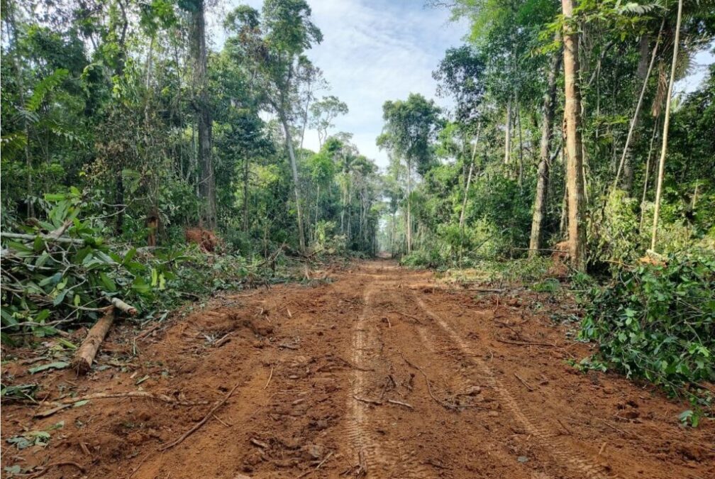 MPF exige nova consulta a indígenas antes da retomada de obra de ramal no Acre