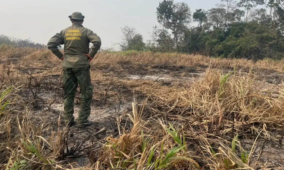 Queimadas diminuem no país, mas Amazônia ainda lidera em área atingida