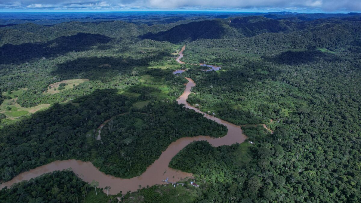 MP ajuíza ação para garantir transparência nos dados ambientais do Acre