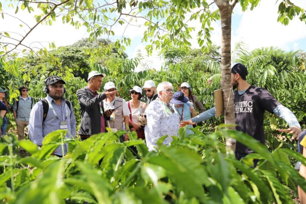 Acre apresenta modelo de reflorestamento sustentável a delegações internacionais durante reunião da GCF