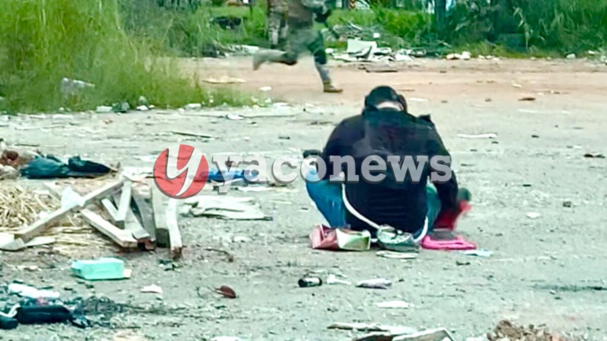 Ataque de abelhas deixa várias pessoas feridas em partida de airsoft de Rio Branco